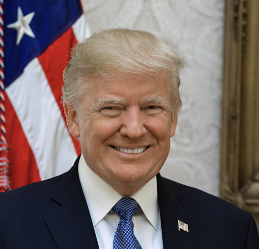 President Trump Headshot