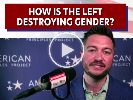 Terry Video Screenshot