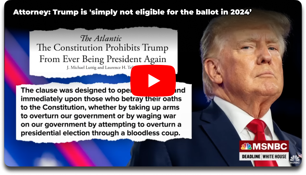 Add your name to the Petition to Stop Election Interference