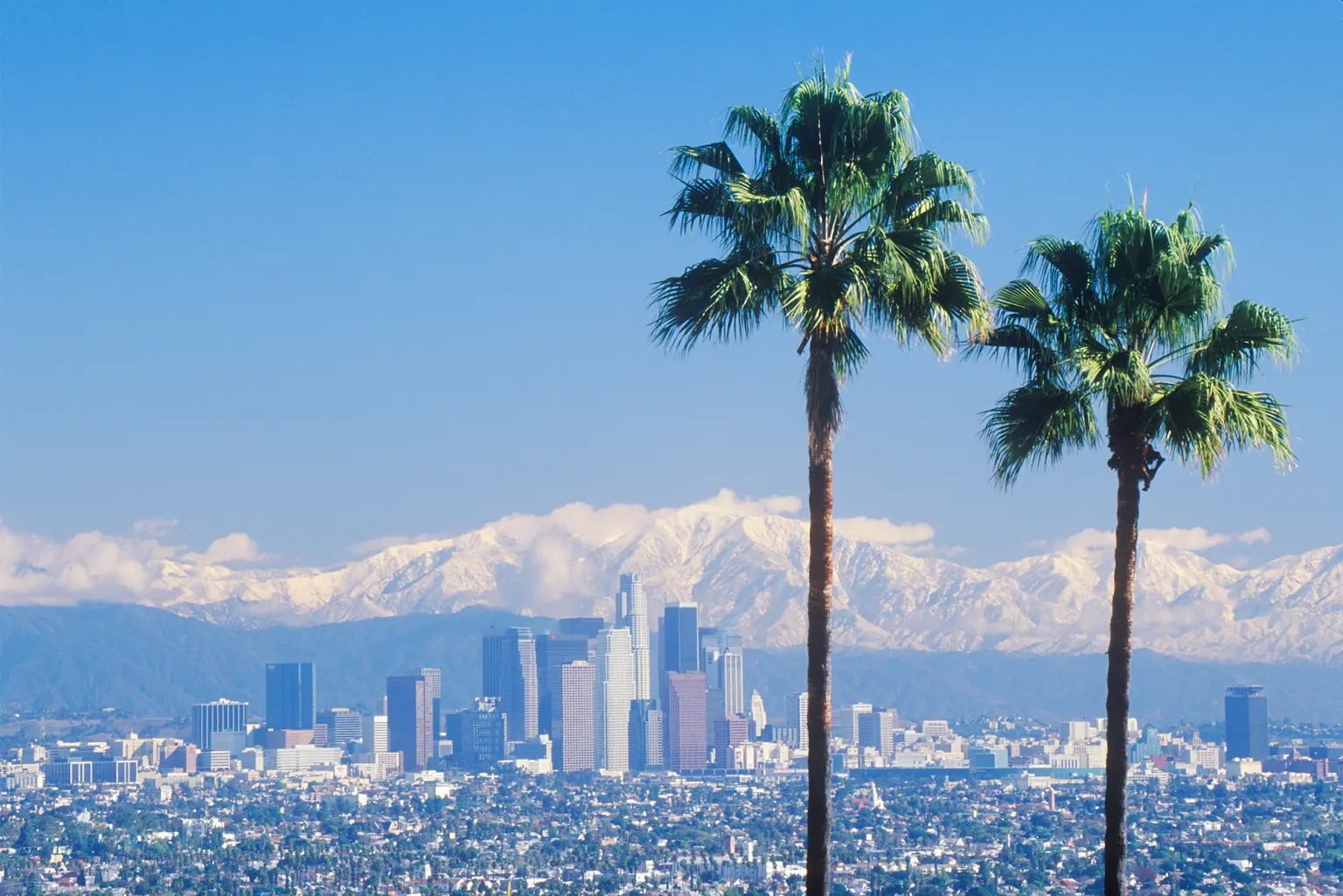 Since 1978, Log Cabin Republicans of Los Angeles have been loyal Republicans who believe in limited...