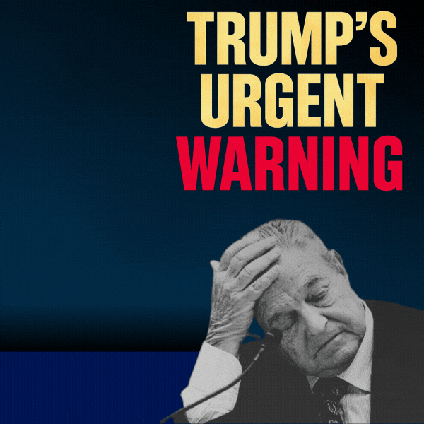 1776 Project Foundation Graphic