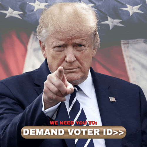 MAGA! > MAGA! >